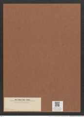 Synedra sp. (de-Toni-Nr.: Genus 66, Species 2607 var. ?) Zeichnungen Sammlung Grunow Mappe 02780 (Herbarium_W_Grunow_drawings_Folder_02780)